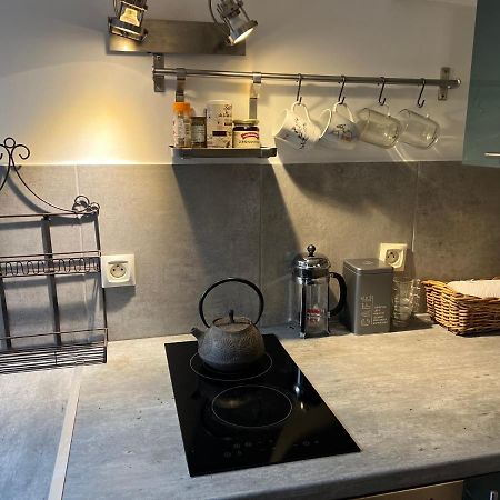 Apartament Petit Studio De La Maison Du Bonheur - Rez De Jardin Villiers-sur-Marne Zewnętrze zdjęcie