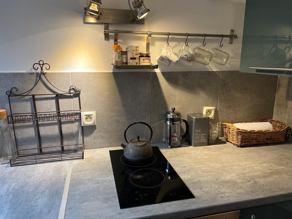 Apartament Petit Studio De La Maison Du Bonheur - Rez De Jardin Villiers-sur-Marne Zewnętrze zdjęcie